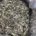 福鼎白茶高山茶，源头货源