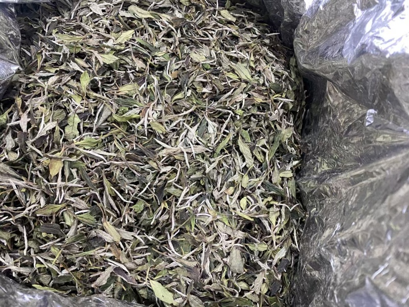 福鼎白茶高山茶，源头货源