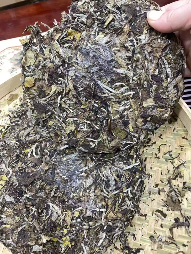 福鼎白茶高山茶，源头货源
