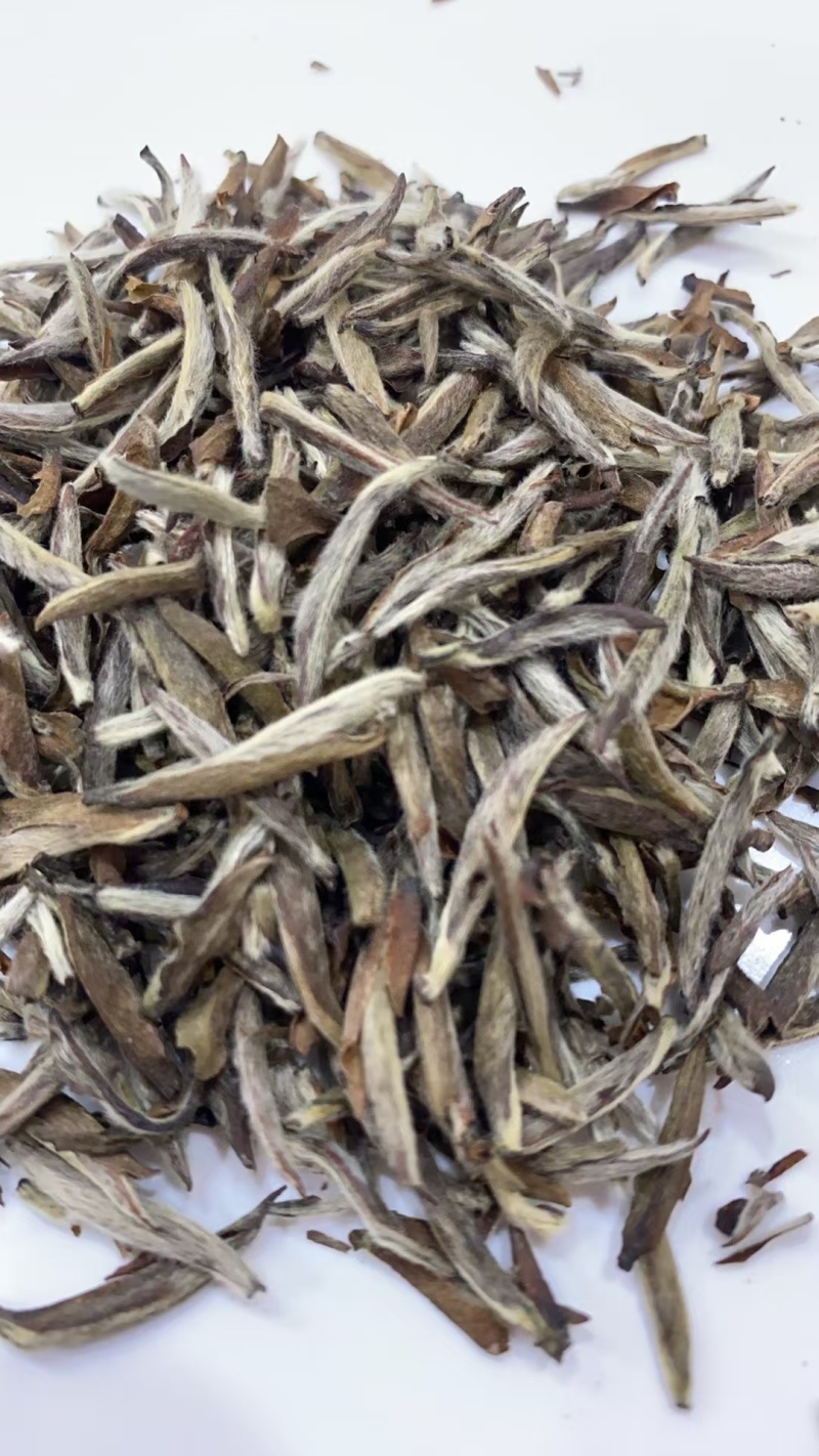 福鼎白茶高山茶，源头货源