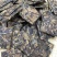 福鼎白茶高山茶，源头货源