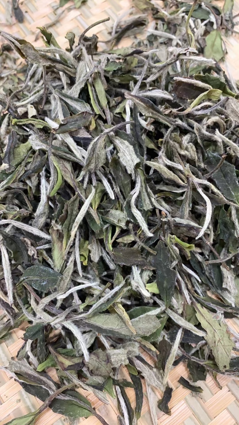 福鼎白茶高山茶，源头货源
