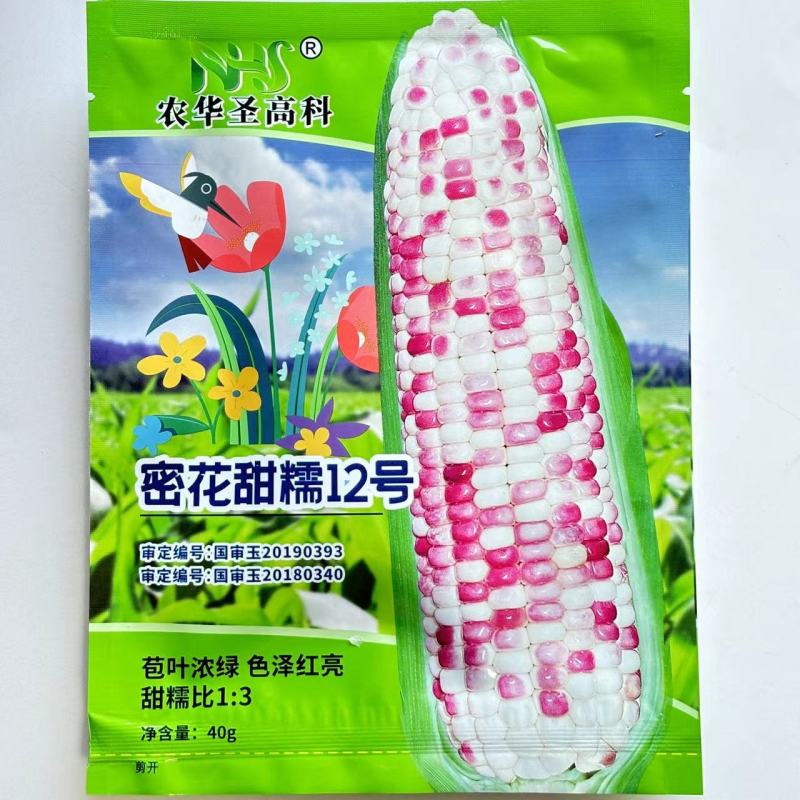 密花甜糯12号彩甜糯玉米种子绿皮大棒甜加糯鲜食玉米种国审