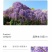 紫藤花树苗爬藤植物庭院围墙园林盆栽花苗绿植花卉藤蔓紫藤萝