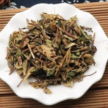 龙胆草苗
