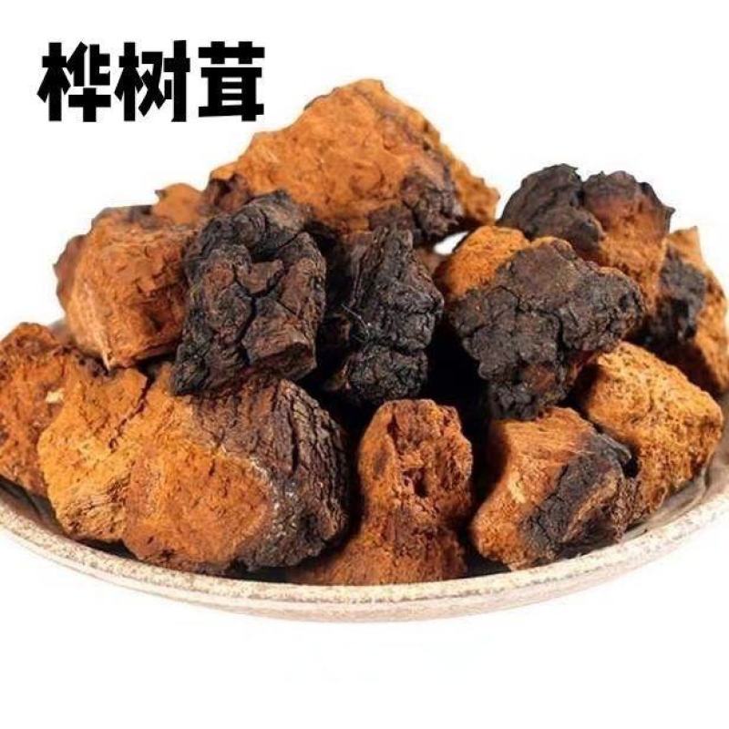 长白山野生桦褐孔菌白桦茸桦树泪桦树茸