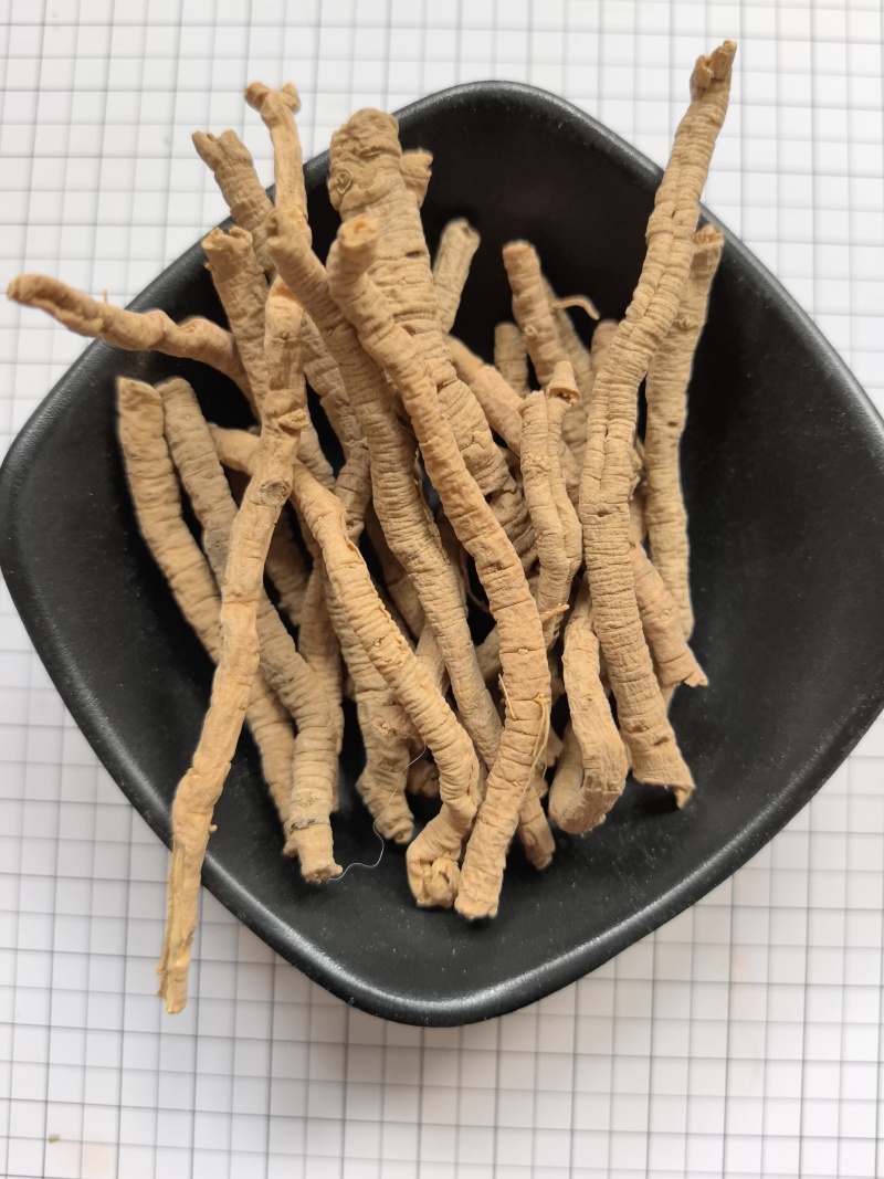 中药材远志全抽选装远志粗筒肉厚