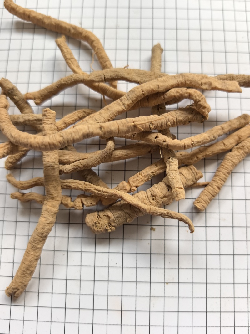 中药材远志全抽选装远志粗筒肉厚