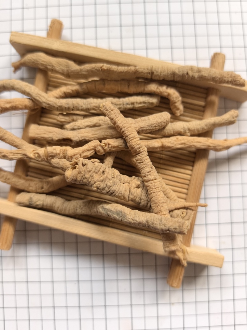 中药材远志全抽选装远志粗筒肉厚