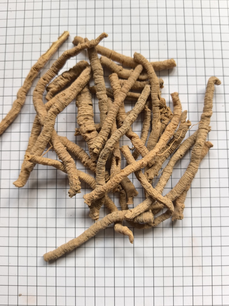 中药材远志全抽选装远志粗筒肉厚