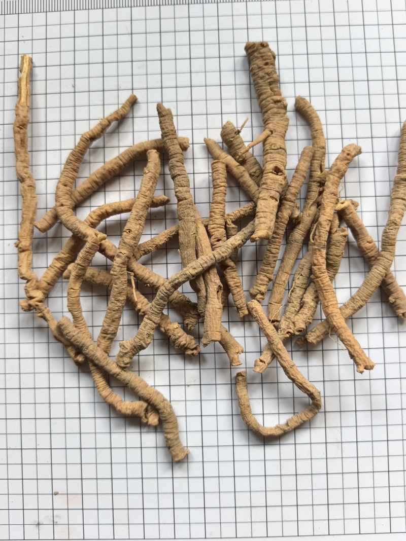 中药材远志全抽选装远志粗筒肉厚
