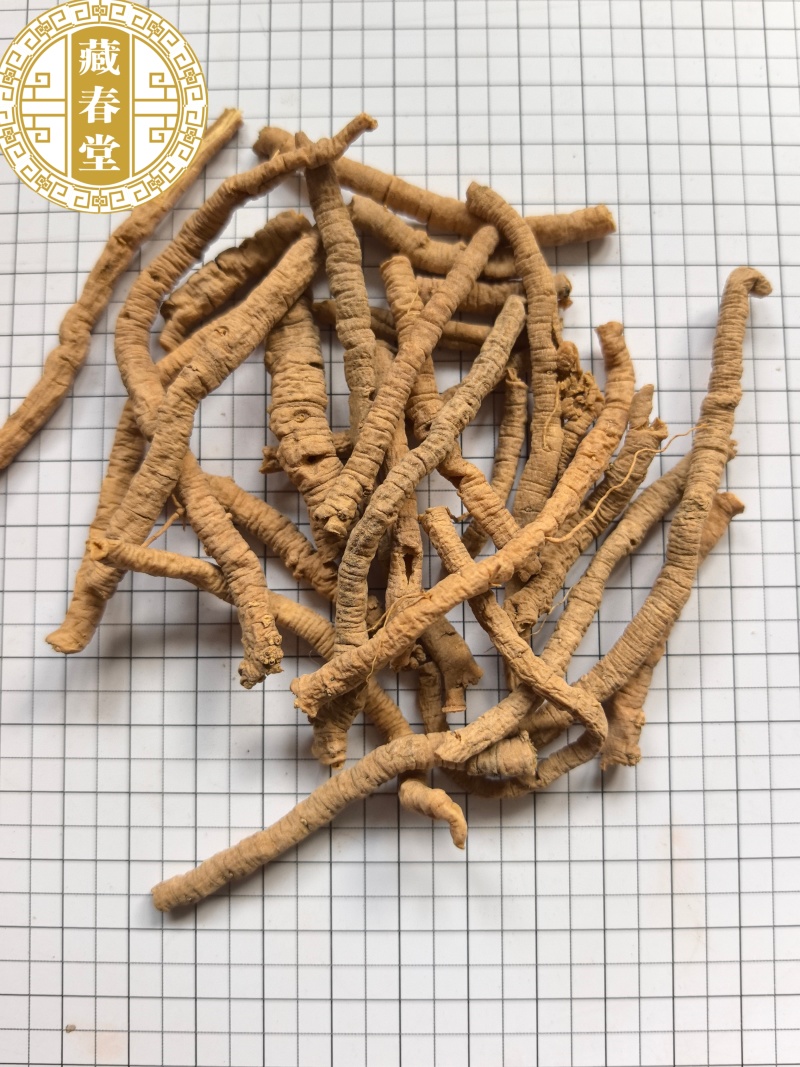 中药材远志全抽选装远志粗筒肉厚