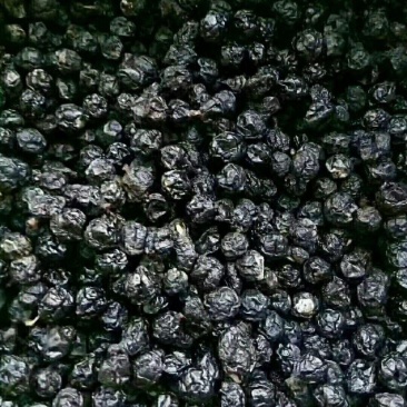 黑果不老莓正品天鹅绒果野生小黑果