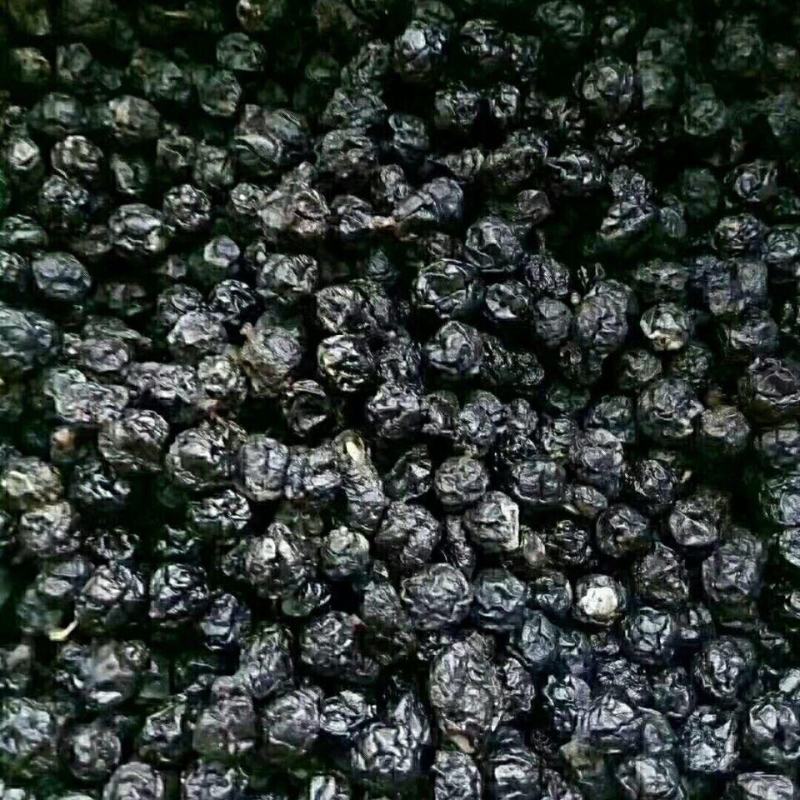 黑果不老莓正品天鹅绒果野生小黑果