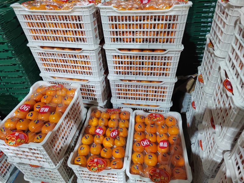 沃柑