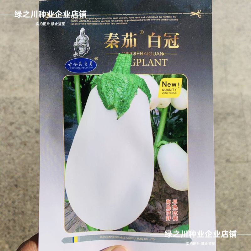 秦茄白冠茄子种子早熟白皮白肉卵圆茄抗病高产白色灯泡茄种子