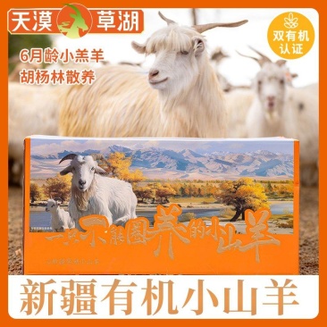 新疆草湖有机小山羊，羊中贵族，支持一件代发，顺丰包邮。
