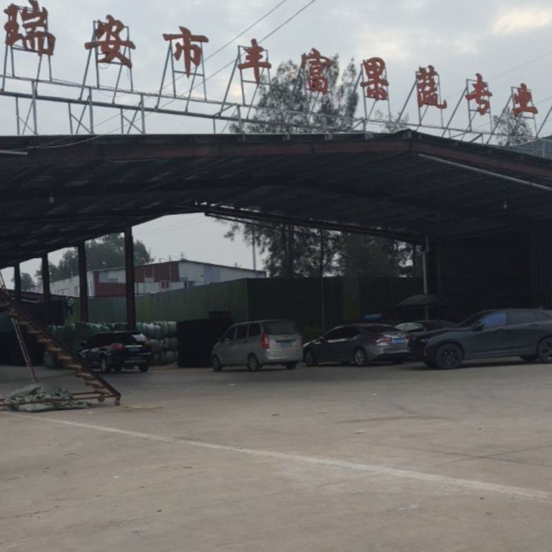 松花菜多品种大量供应！本合作社散装带套装箱配套冷库