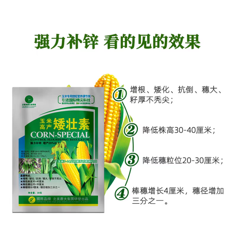 玉米矮壮素7-14片叶展开时喷喇叭口矮化植株