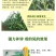 玉米矮壮素7-14片叶展开时喷喇叭口矮化植株