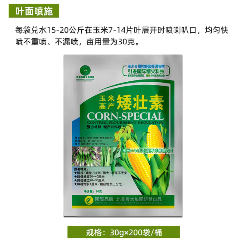 玉米矮壮素7-14片叶展开时喷喇叭口矮化植株
