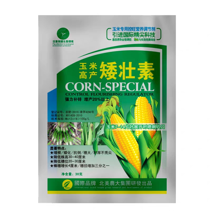 玉米矮壮素7-14片叶展开时喷喇叭口矮化植株