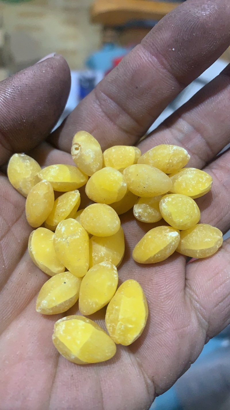熟白果仁干黄米子