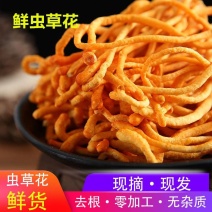 虫草花鲜货鲜湿虫草花金北蛹虫草菇孢子头菌类煲汤食材非干货