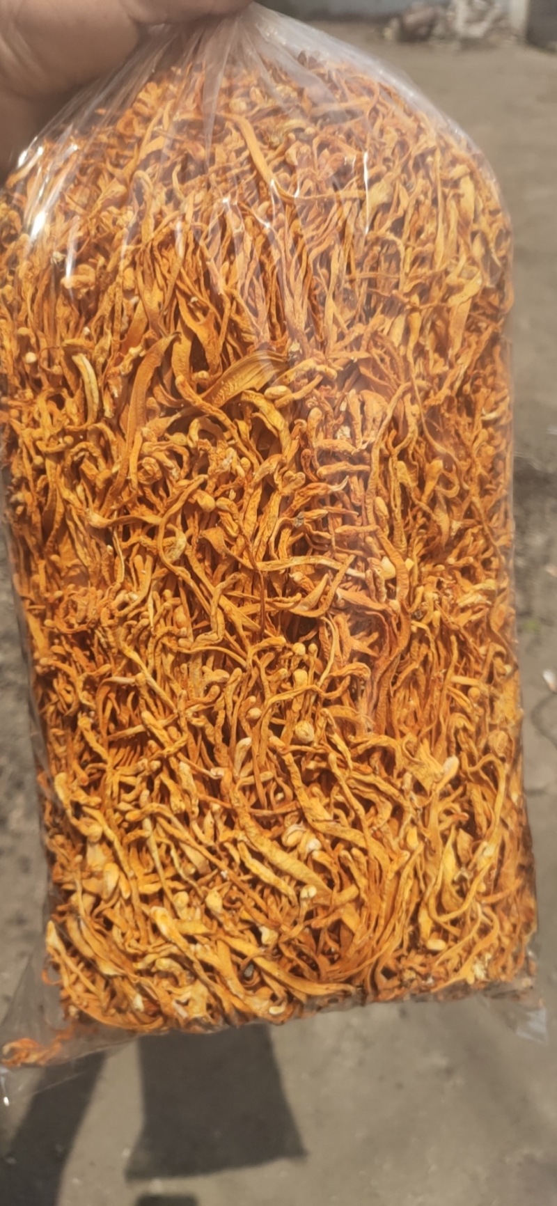 虫草花鲜货鲜湿虫草花金北蛹虫草菇孢子头菌类煲汤食材非干货