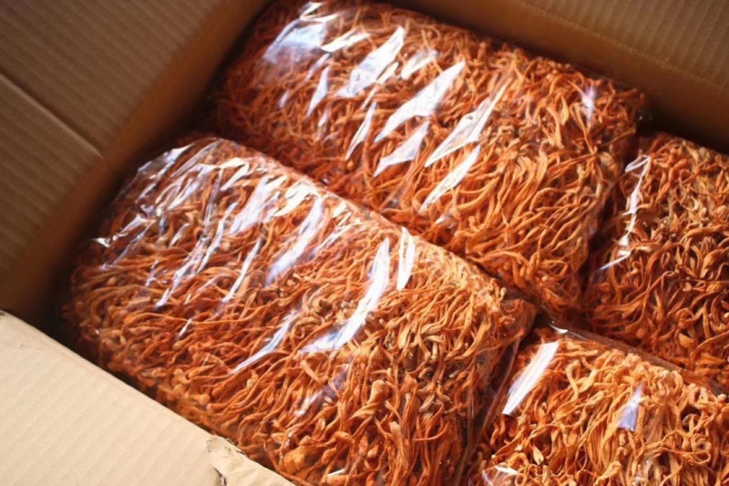 虫草花鲜货鲜湿虫草花金北蛹虫草菇孢子头菌类煲汤食材非干货