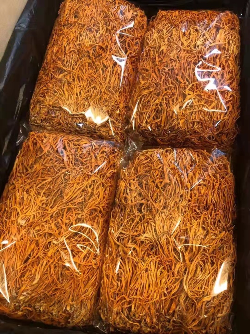 虫草花鲜货鲜湿虫草花金北蛹虫草菇孢子头菌类煲汤食材非干货