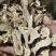无硫白术一年白术颜色好批发零售各种规格中药材