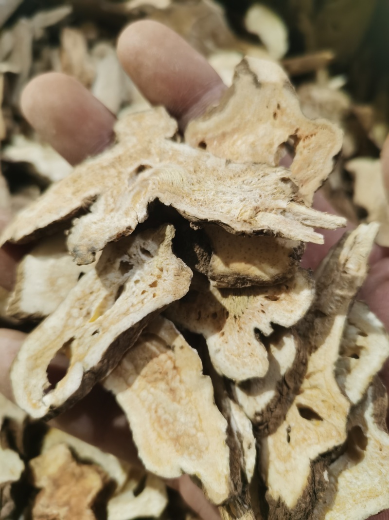 无硫白术一年白术颜色好批发零售各种规格中药材