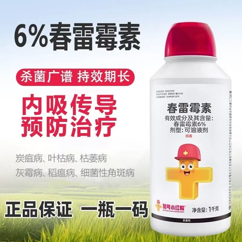【厂家直卖】加号小红帽6%春雷霉素1000克批发零售