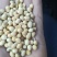 加拿大非转大豆豆制品专用大豆现货全国发货货源充足