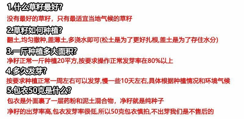 四季青进口草坪种子耐寒耐旱草坪籽耐践踏小区工程绿化护坡草