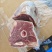 纯干去骨带皮羊板肉饭店羊汤馆炖锅炒菜穿串可发样品
