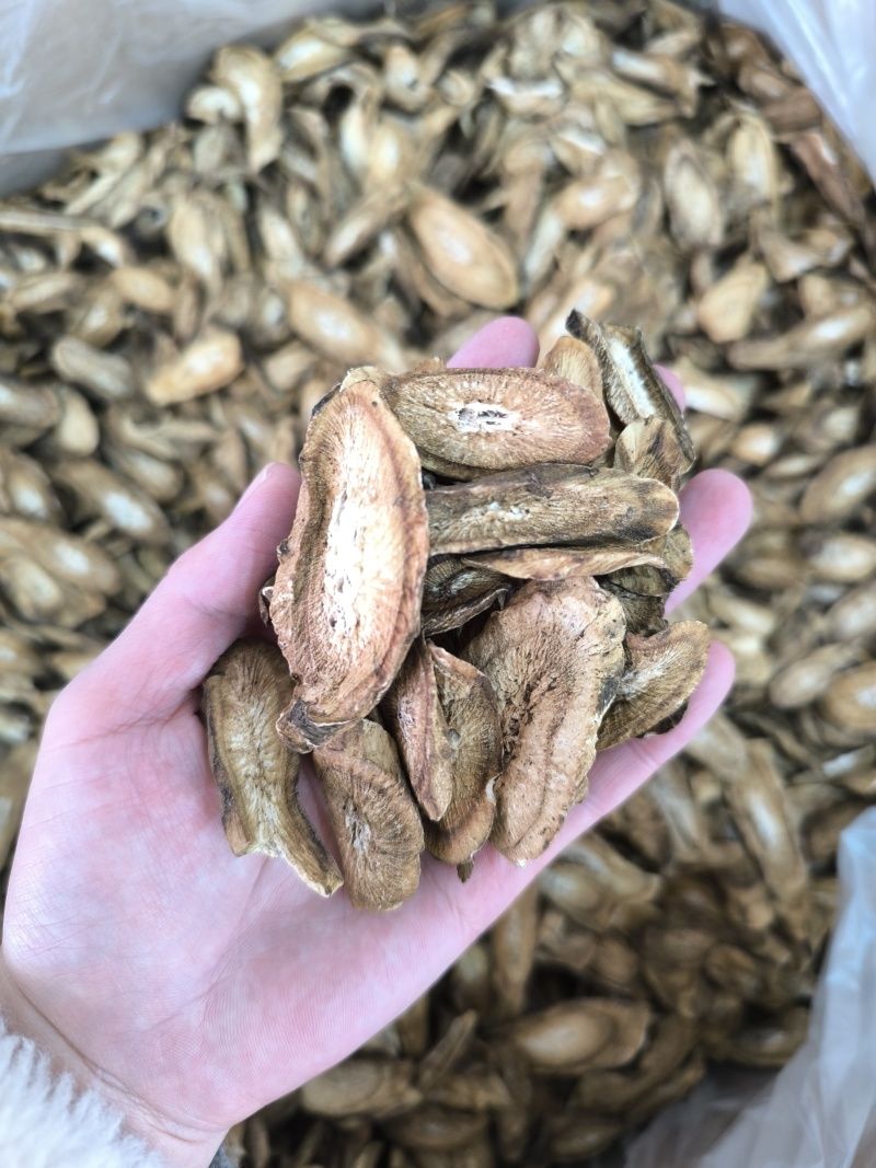 牛蒡牛蒡茶无硫无杂质地道中药牛蒡量大从优