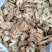 牛蒡牛蒡茶无硫无杂质地道中药牛蒡量大从优