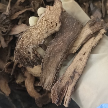 锁阳中药材锁阳片泡酒泡茶实物实拍