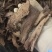 锁阳中药材锁阳片泡酒泡茶实物实拍