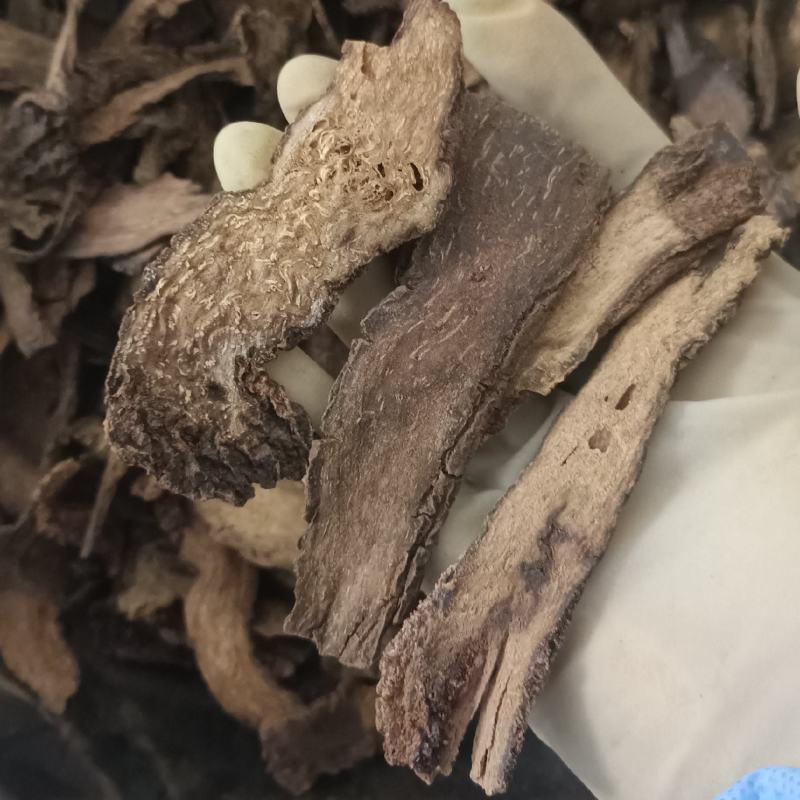 锁阳中药材锁阳片泡酒泡茶实物实拍