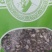 石菖蒲中药材石菖蒲无添加实物实拍