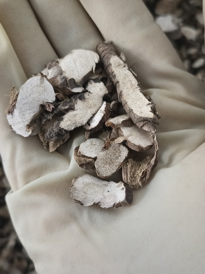 石菖蒲中药材石菖蒲无添加实物实拍