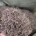 紫苑中药材紫苑无硫紫菀子去头纯须子规格齐全