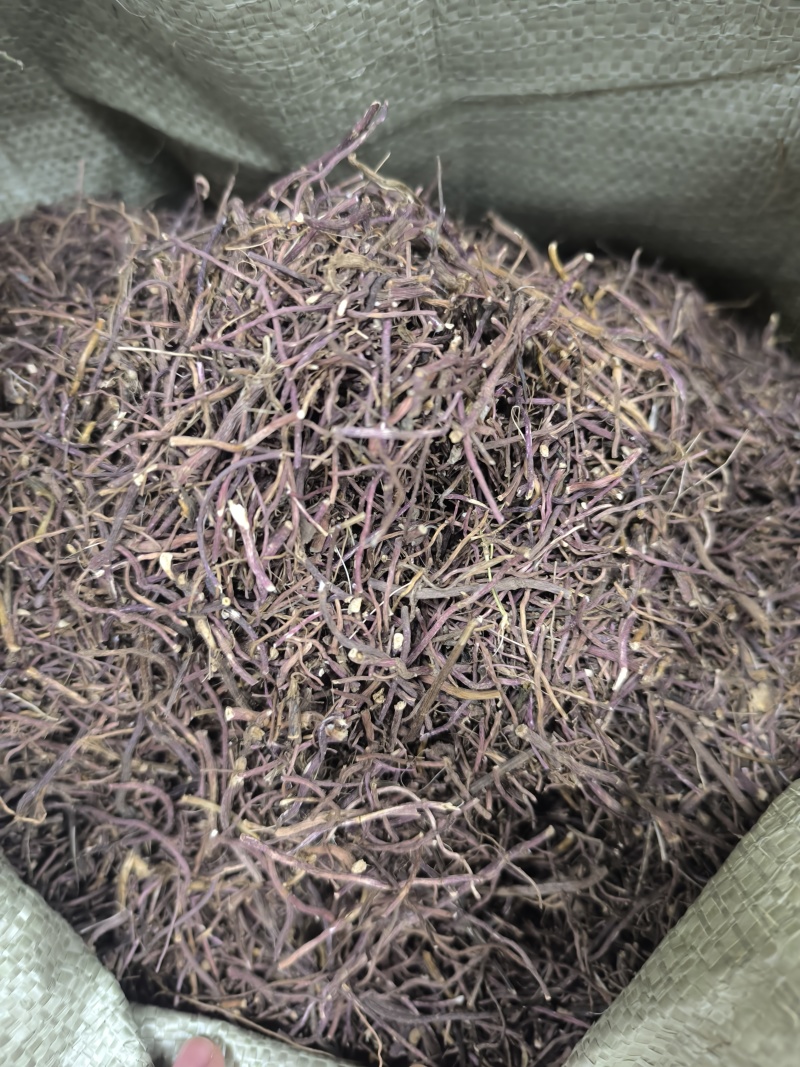 紫苑中药材紫苑无硫紫菀子去头纯须子规格齐全