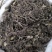 紫苑中药材紫苑无硫紫菀子去头纯须子规格齐全