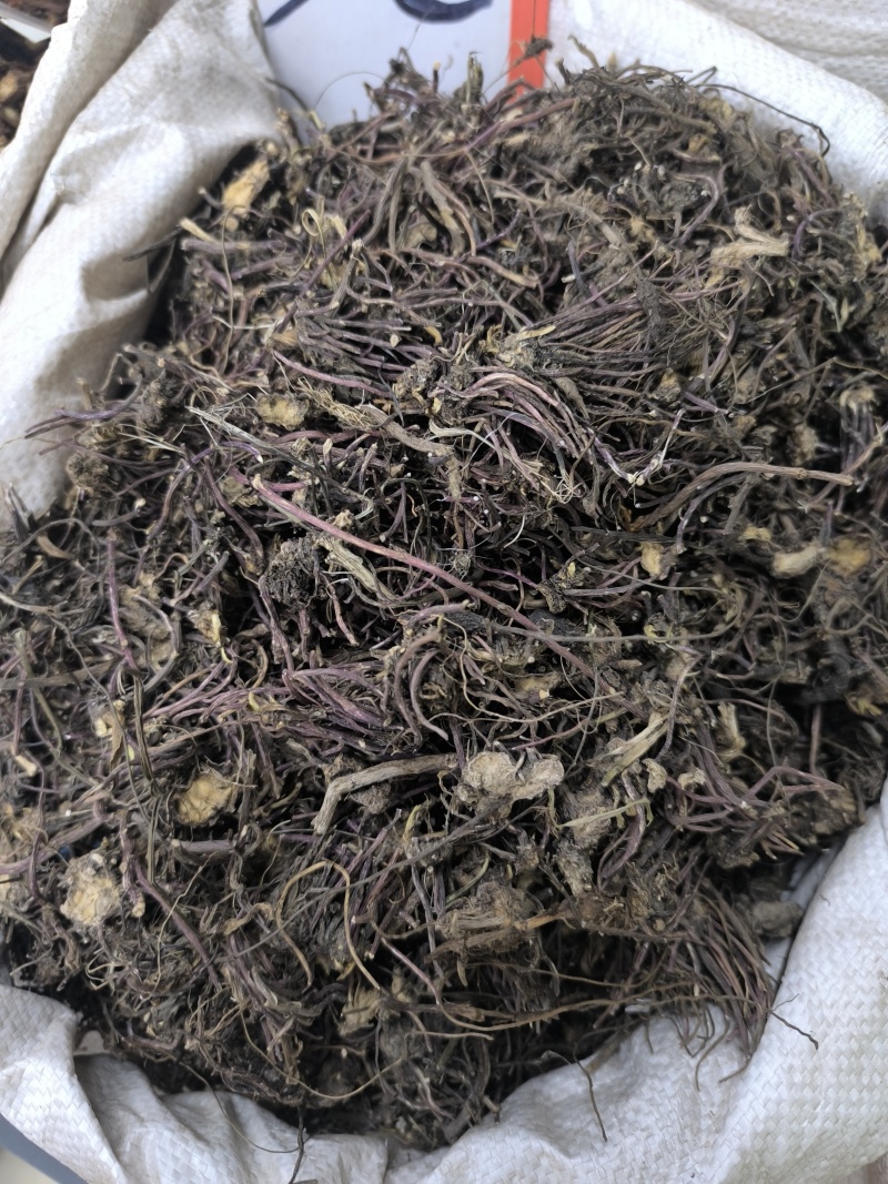 紫苑中药材紫苑无硫紫菀子去头纯须子规格齐全