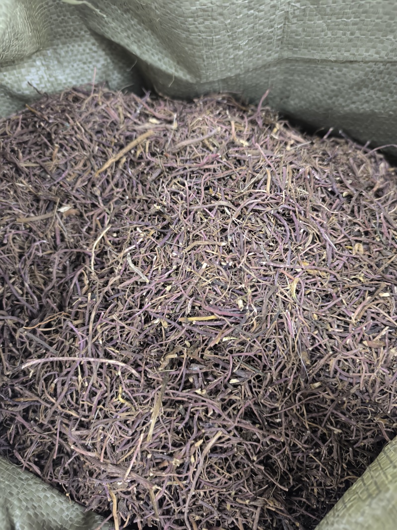 紫苑中药材紫苑无硫紫菀子去头纯须子规格齐全
