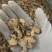 射干中药材射干片无添加实物实拍